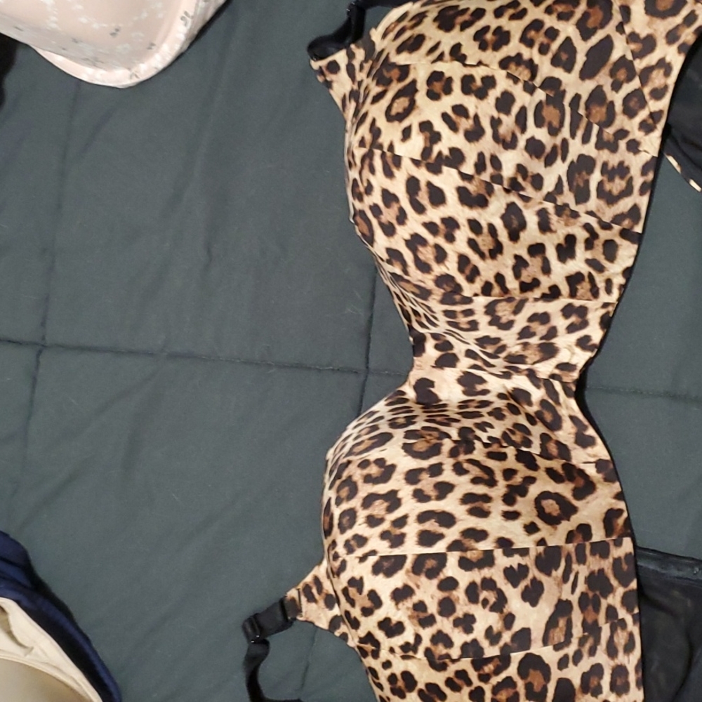 Torrid curve bra no underwire